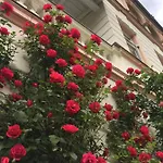 Excelsior & Kurhaus 3* באד גסטיין