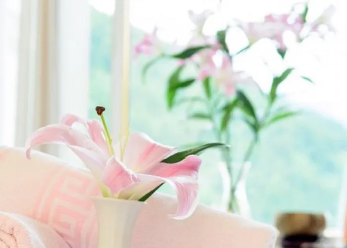 Excelsior & Kurhaus מלון